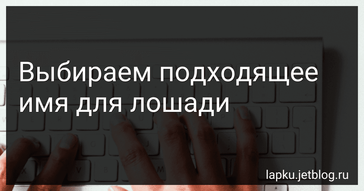 Выбираем подходящее имя для лошади preview