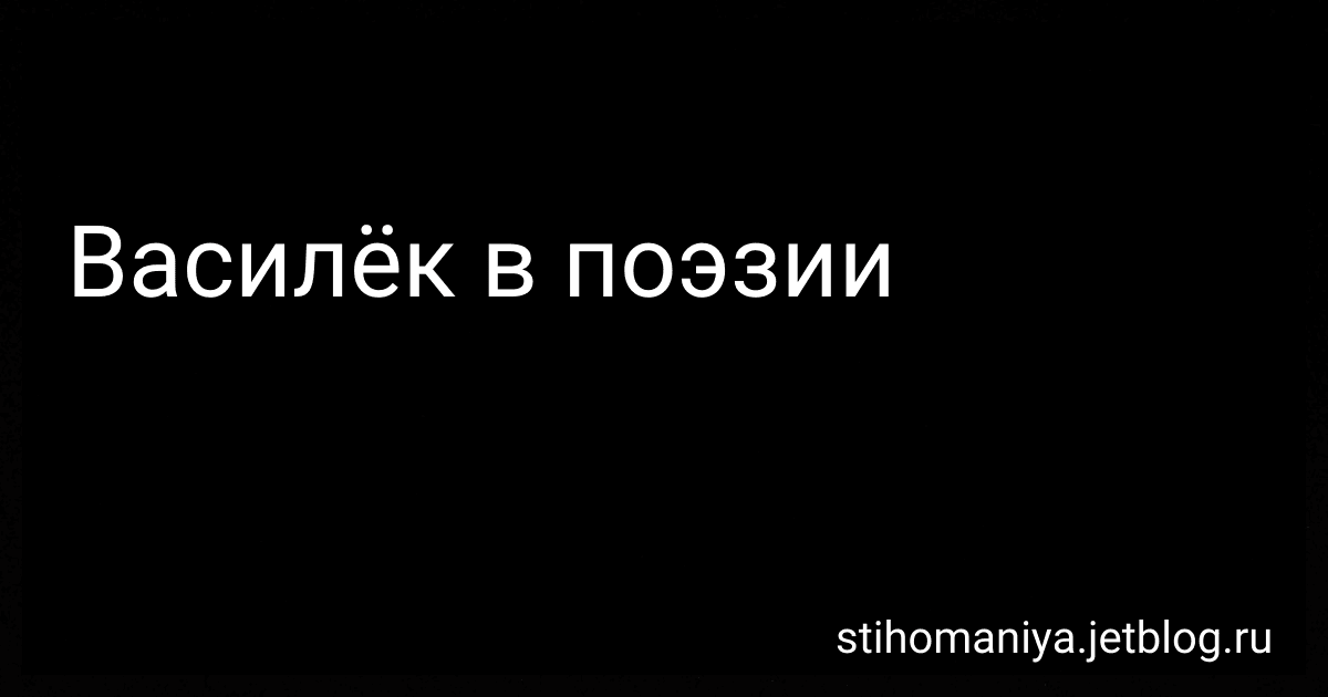 Василёк в поэзии preview