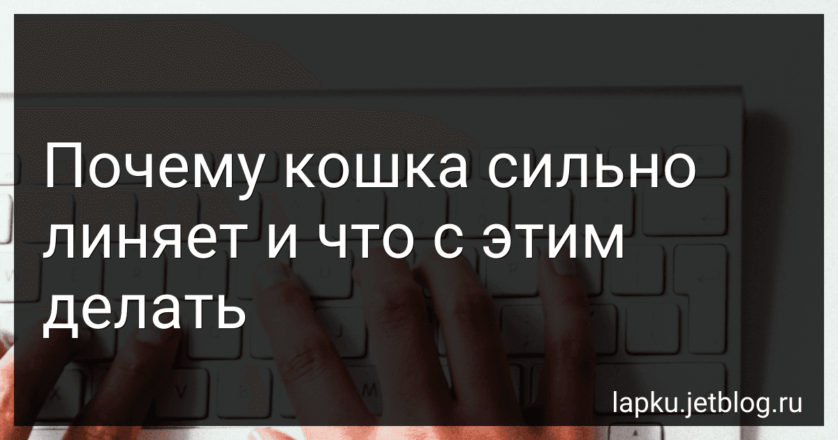 Почему кошка сильно линяет и что с этим делать image