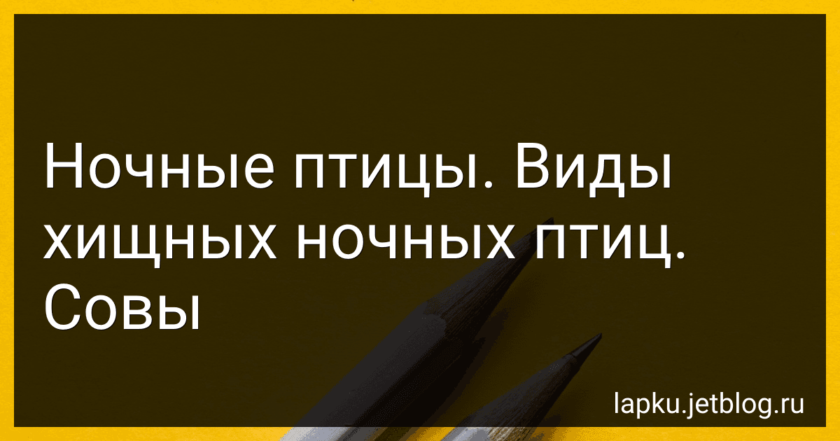 Ночные птицы. Виды хищных ночных птиц. Совы image
