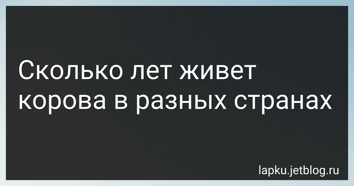 Сколько лет живет корова в разных странах image