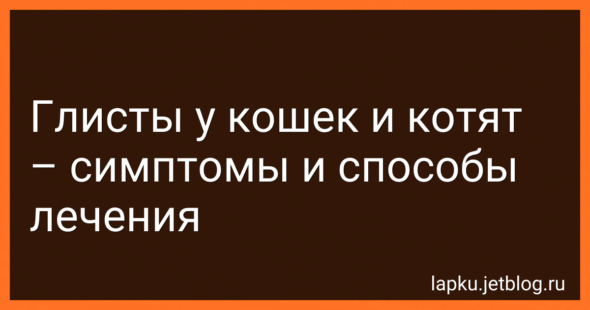 Глисты у кошек и котят – симптомы и способы лечения image