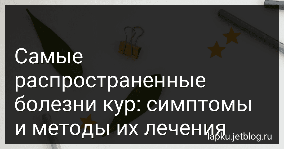 Самые распространенные болезни кур: симптомы и методы их лечения image