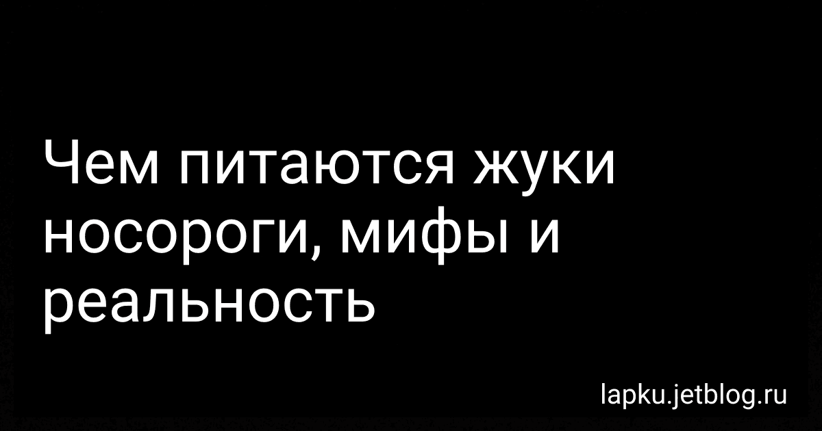 Чем питаются жуки носороги, мифы и реальность image