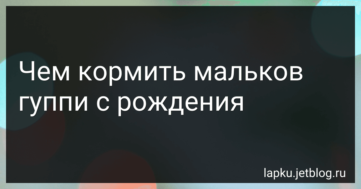 Чем кормить мальков гуппи с рождения preview