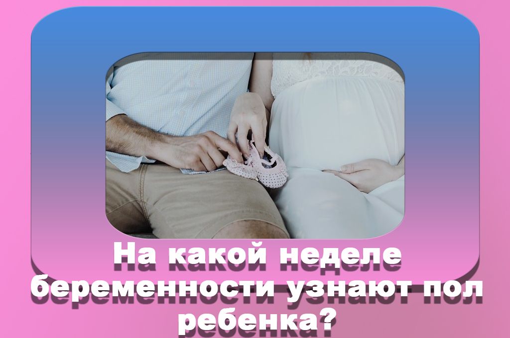На какой неделе беременности узнают пол ребенка? image