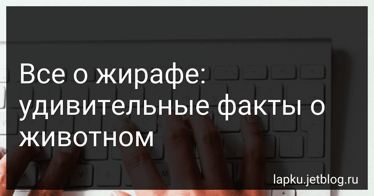 Все о жирафе: удивительные факты о животном image