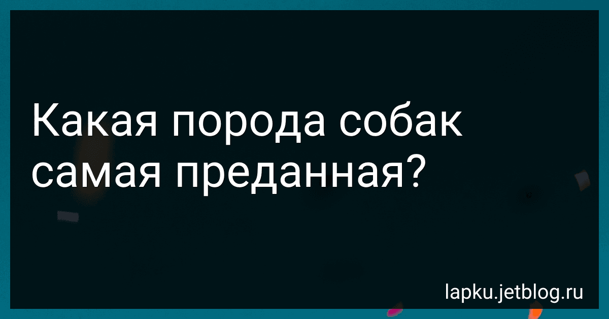 Какая порода собак самая преданная? image