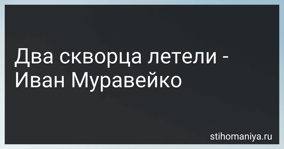 Два скворца летели - Иван Муравейко preview