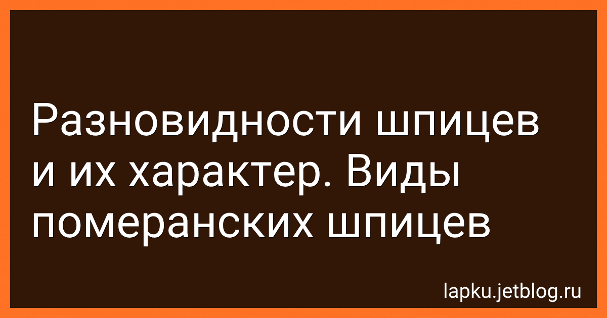 Разновидности шпицев и их характер. Виды померанских шпицев preview