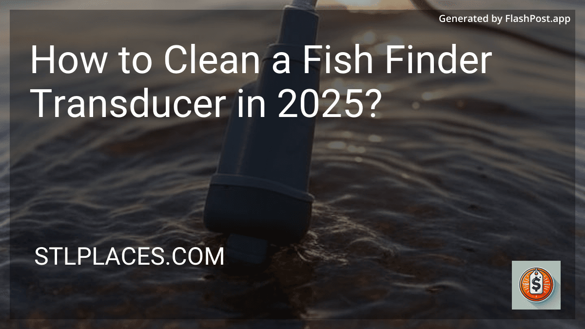 How to Clean a Fish Finder Transducer in 2025? preview