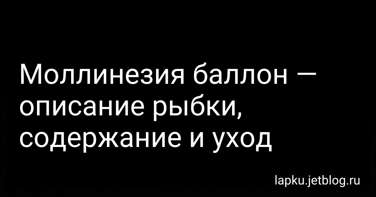Моллинезия баллон - описание рыбки, содержание и уход preview