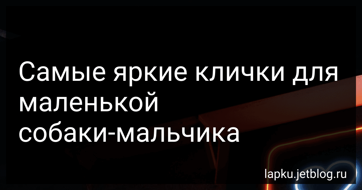 Самые яркие клички для маленькой собаки-мальчика preview