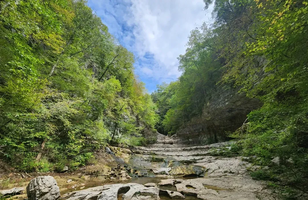 10 Best Trails and Hikes in Alabama preview