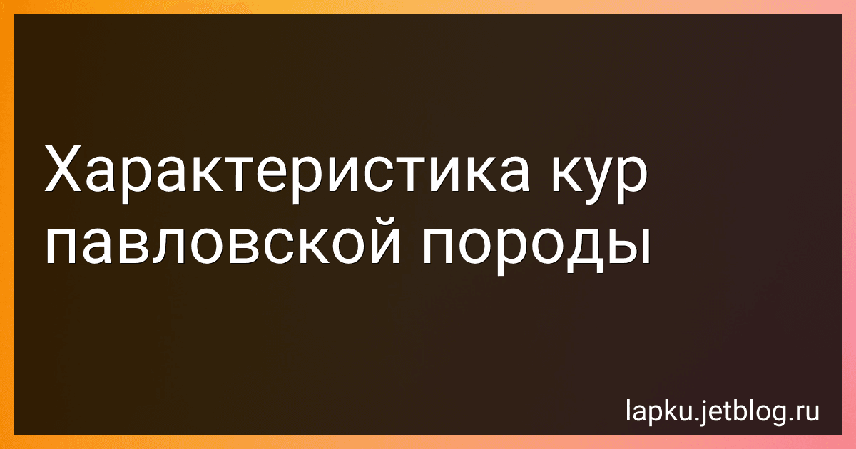 Характеристика кур павловской породы image