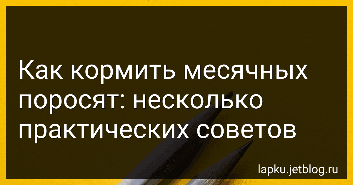 Как кормить месячных поросят: несколько практических советов image
