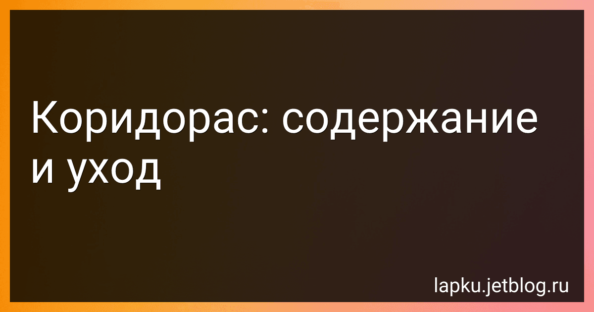 Коридорас: содержание и уход image