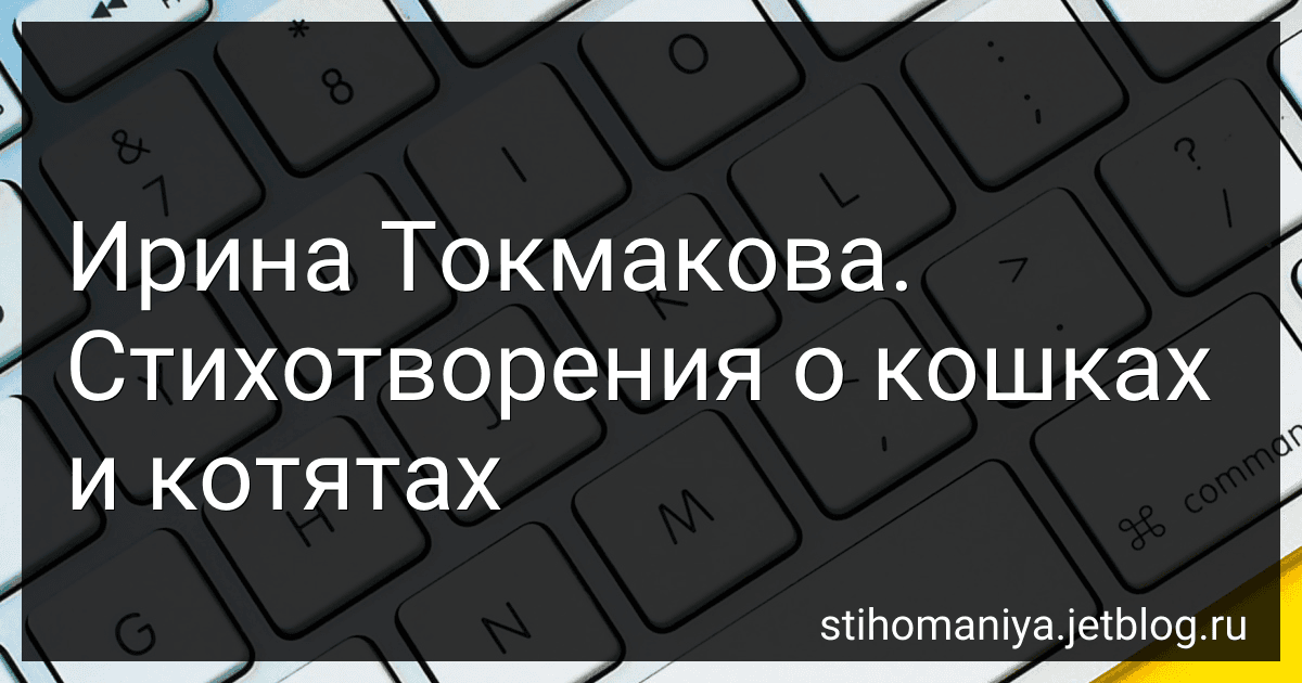 Ирина Токмакова. Стихотворения о кошках и котятах preview