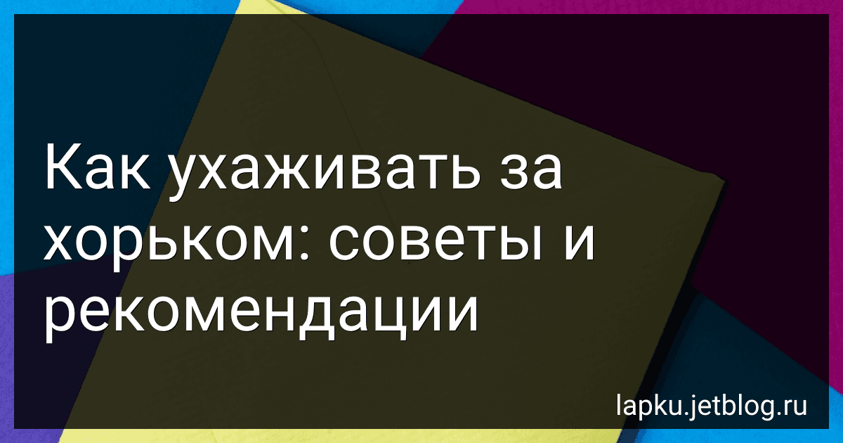 Как ухаживать за хорьком: советы и рекомендации image