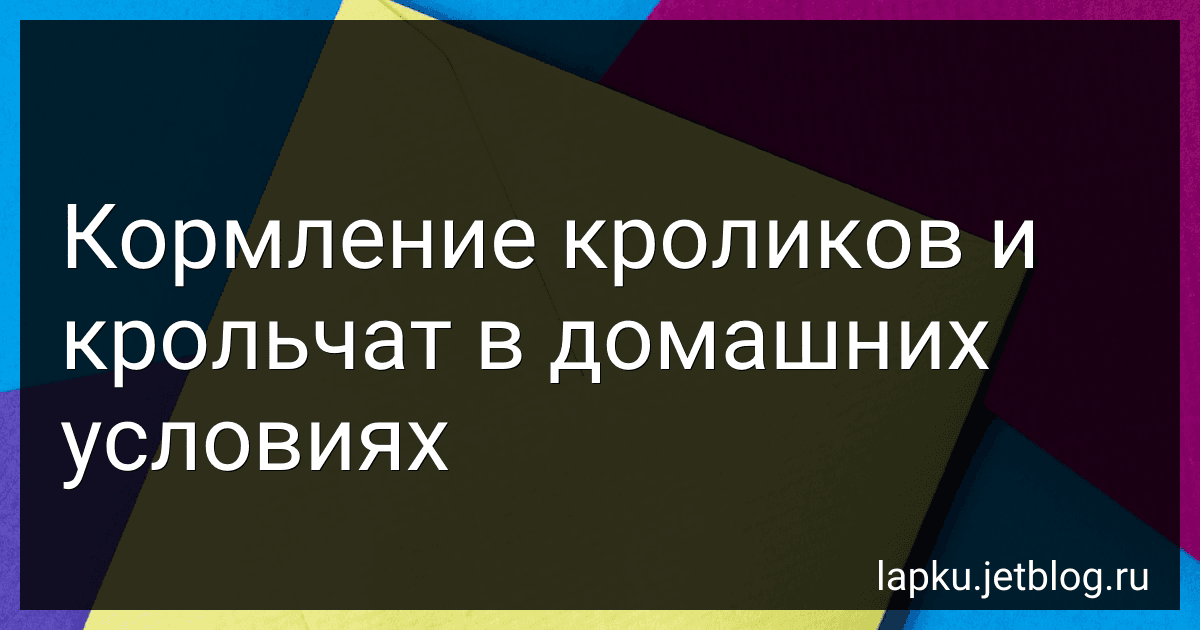 Кормление кроликов и крольчат в домашних условиях image