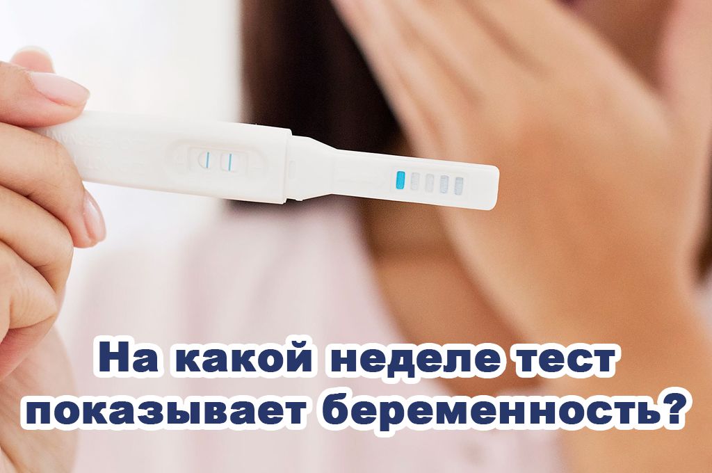 На какой неделе тест показывает беременность? image