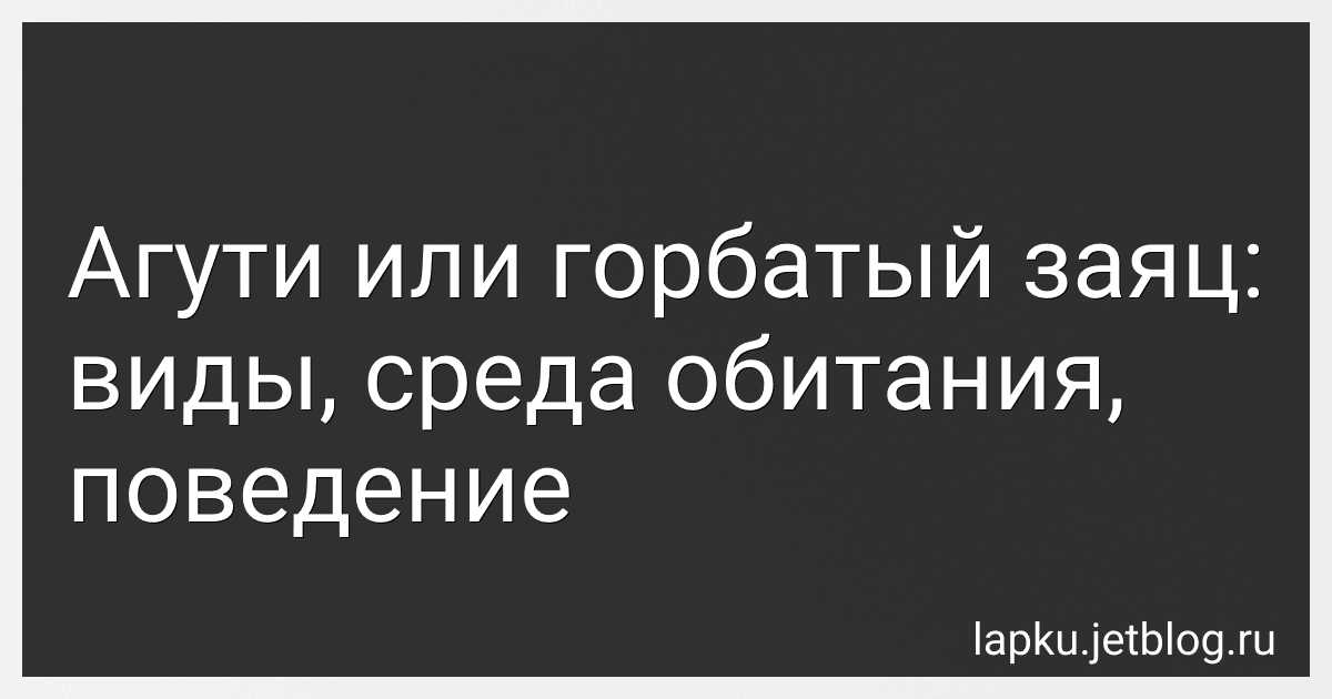 Агути или горбатый заяц: виды, среда обитания, поведение image