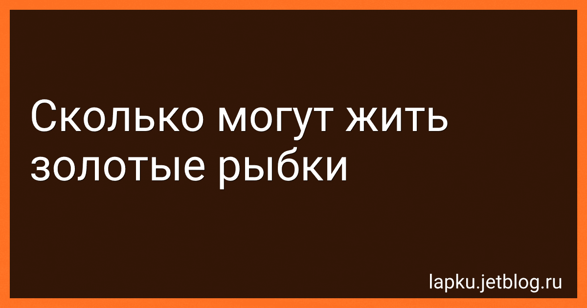 Сколько могут жить золотые рыбки image