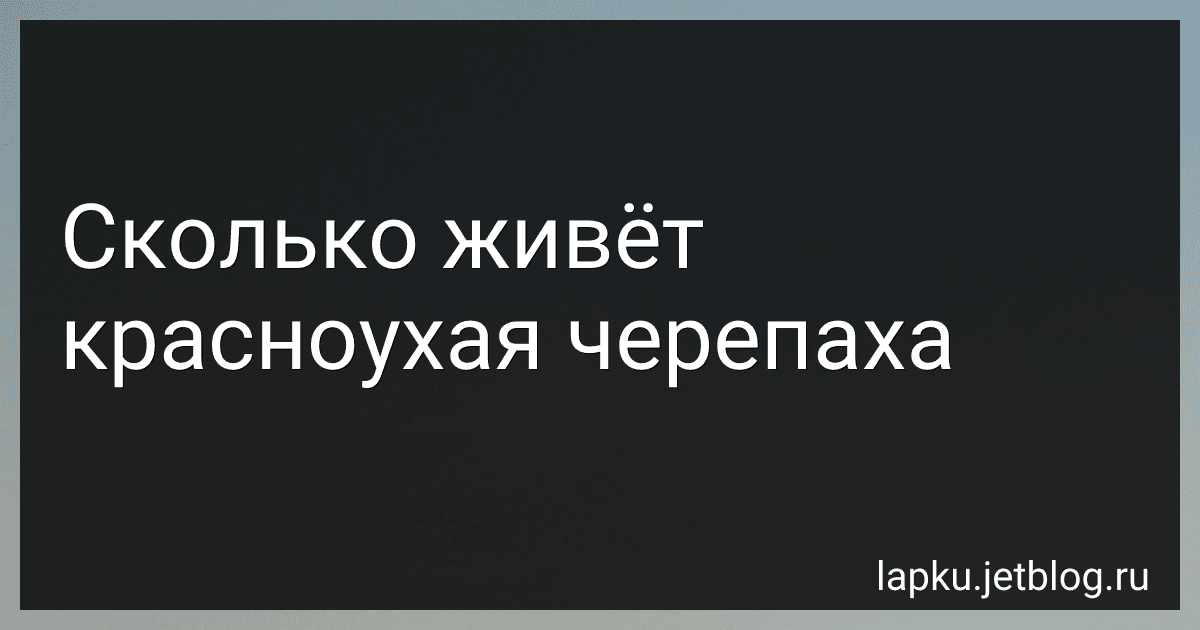 Сколько живёт красноухая черепаха image