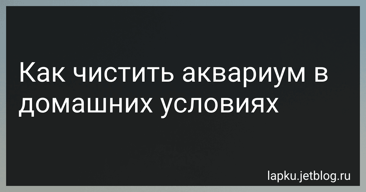 Как чистить аквариум в домашних условиях preview
