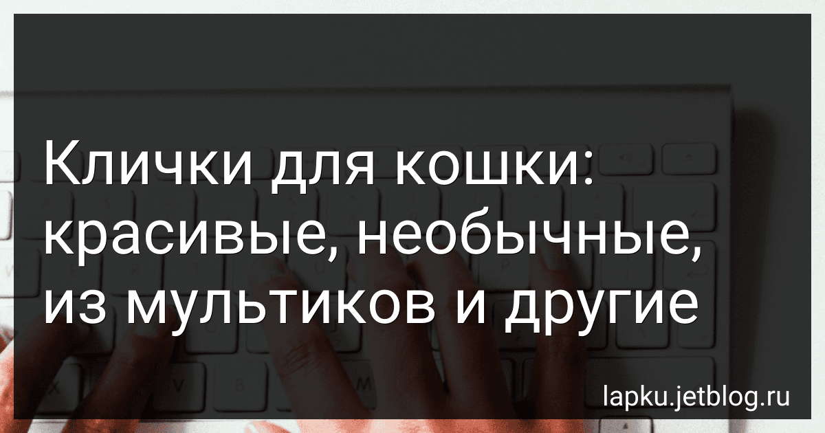 Клички для кошки: красивые, необычные, из мультиков и другие preview