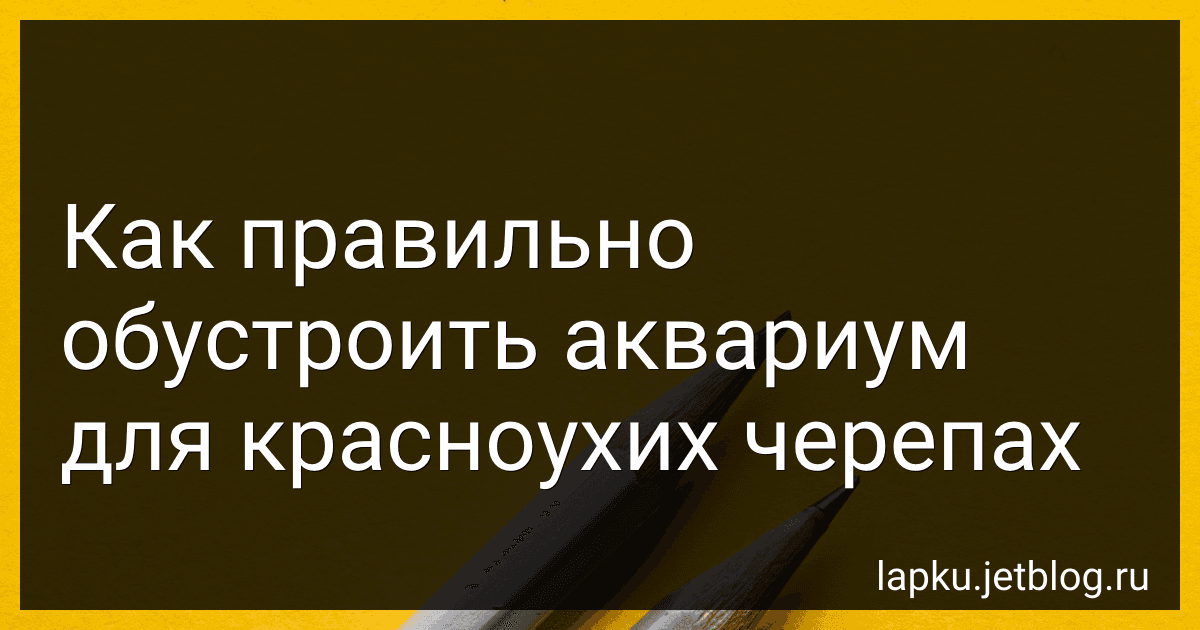 Как правильно обустроить аквариум для красноухих черепах preview