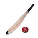 Cricket Practice Bat with Red Leather Ball, Wooden Construction, Black Handle | Plain Kashmiri Willow Cricket Bat Free Ball