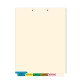 Doctor Stuff - Stock Medical Chart Dividers, 260 Sets of 6 Popular Healthcare Index Tabs, Bottom Tab, 8-1/2" x 11-3/8", File Folder Organizer for Nursing Patient Charts & Medical Records