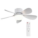 ASALL Socket Fan Light with Remote Control, Portable Small Ceiling Fan with Lights for Bedroom, Kitchen, Living Room, with Dimming Function, 1000 Lumens, Screws into E26/E27, 16.54 Inches Diameter