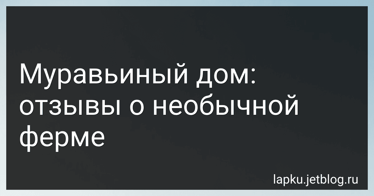 Муравьиный дом: отзывы о необычной ферме image