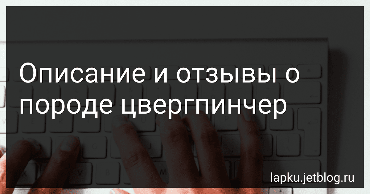 Описание и отзывы о породе цвергпинчер preview