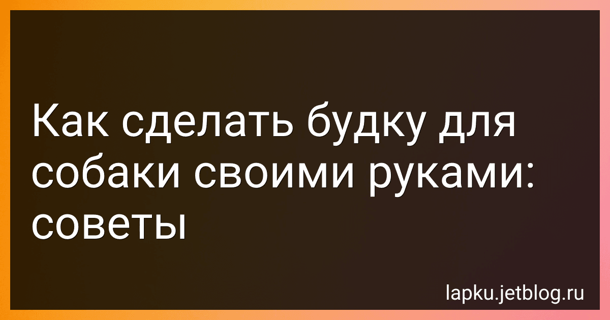 Как сделать будку для собаки своими руками: советы preview