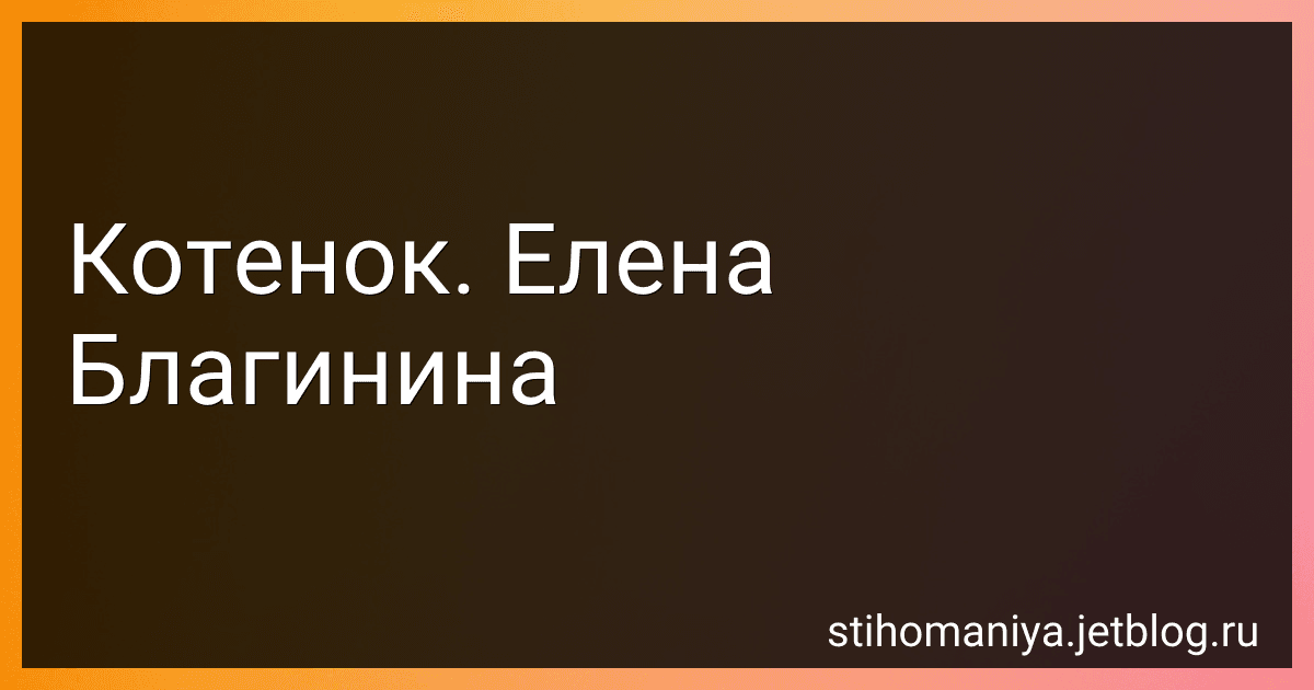 Котенок. Елена Благинина preview