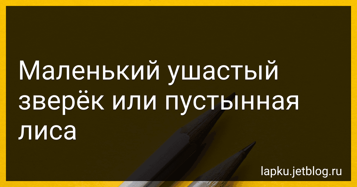 Маленький ушастый зверёк или пустынная лиса image