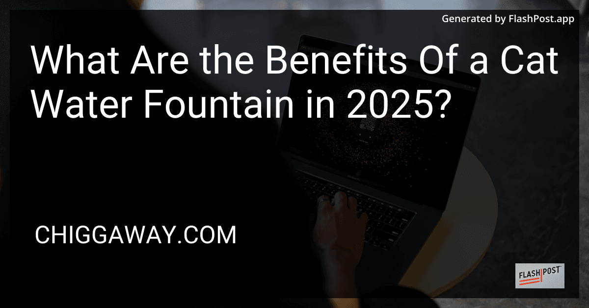 What Are the Benefits Of a Cat Water Fountain in 2025? preview