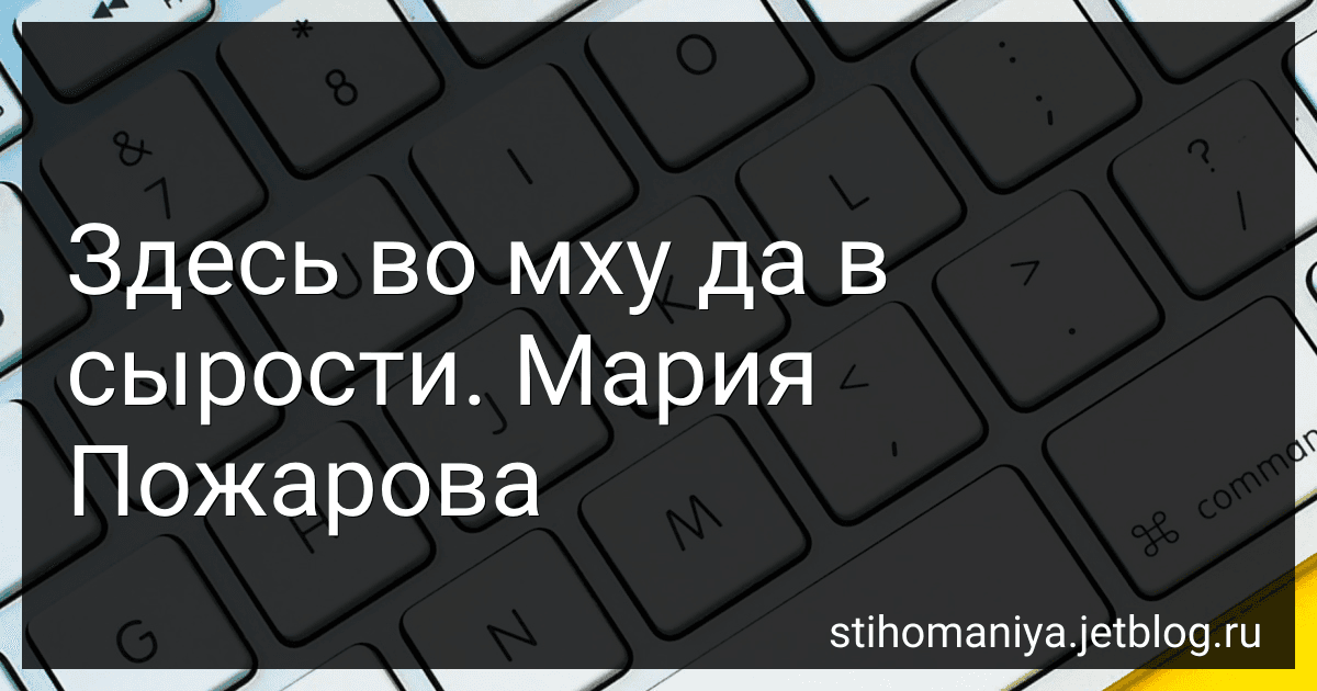 Здесь во мху да в сырости. Мария Пожарова preview