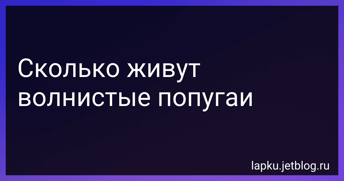 Сколько живут волнистые попугаи image