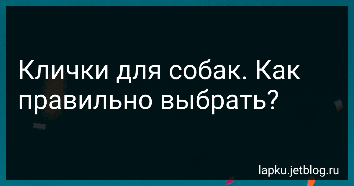 Клички для собак. Как правильно выбрать? preview