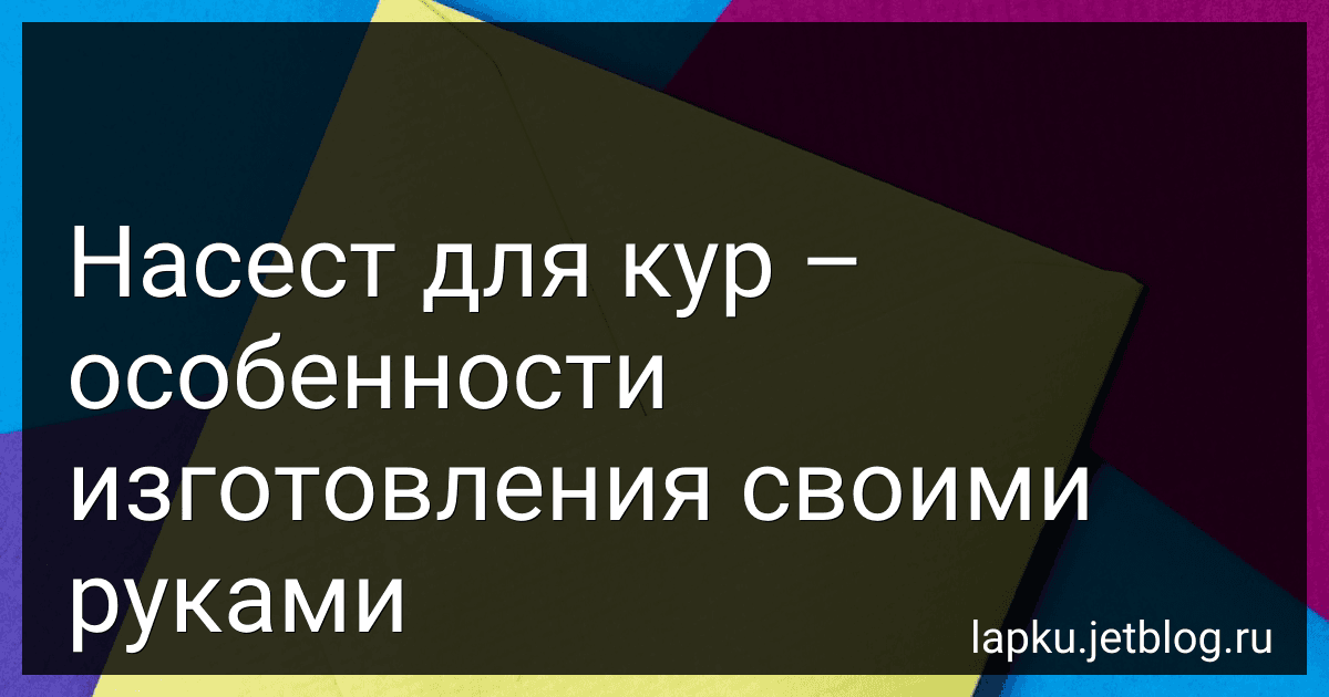 Насест для кур – особенности изготовления своими руками image