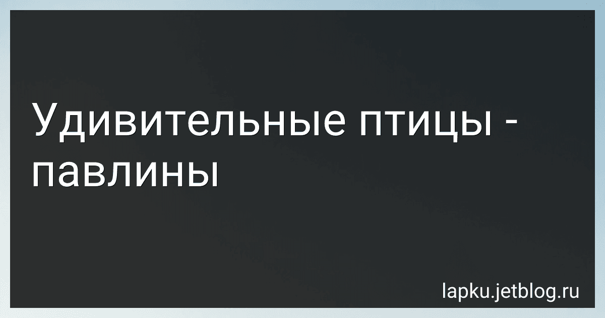 Удивительные птицы - павлины image