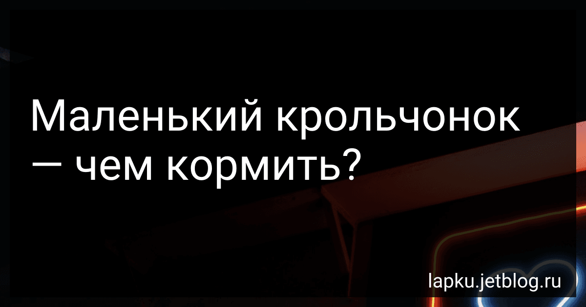 Маленький крольчонок - чем кормить? image