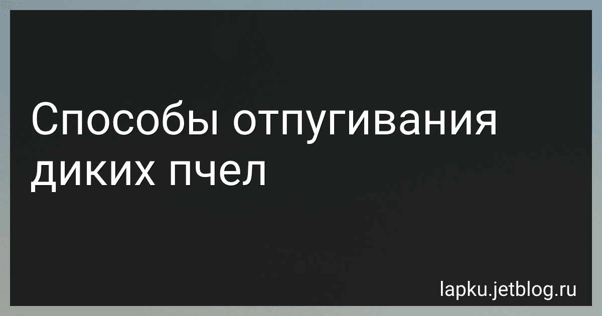 Способы отпугивания диких пчел image
