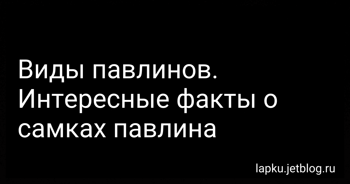 Виды павлинов. Интересные факты о самках павлина image
