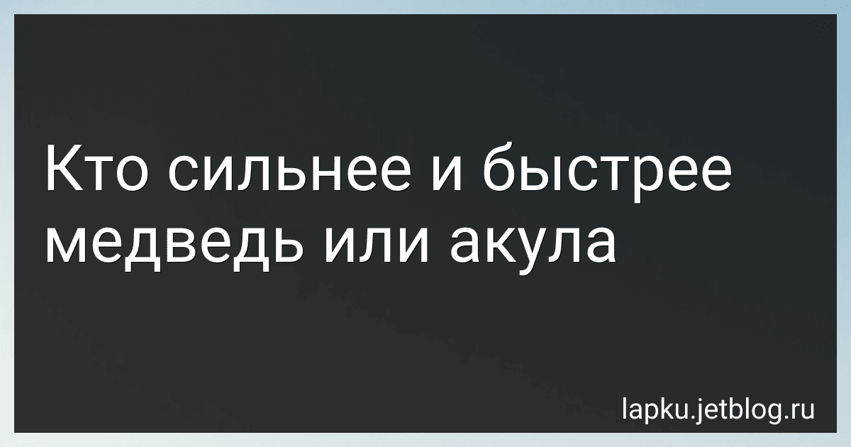 Кто сильнее и быстрее медведь или акула image