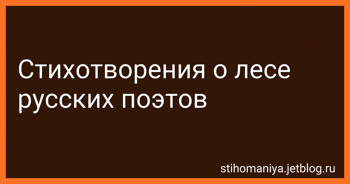 Стихотворения о лесе русских поэтов preview